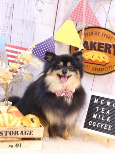 20240910アンバーちゃん